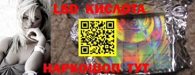 спайс Кингисепп