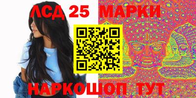 спайс Кингисепп