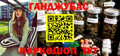 спайс Кингисепп