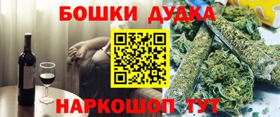 спайс Кингисепп