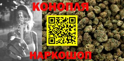 спайс Кингисепп
