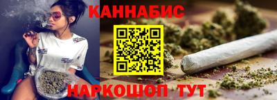 спайс Кингисепп