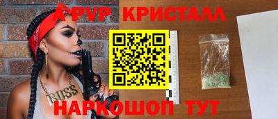 спайс Кингисепп