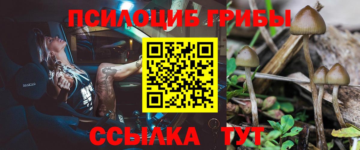 Псилоцибиновые грибы Cubensis  Галлюциногенные грибы мицелий  Армавир  Вход с VPN 